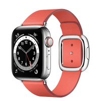 Apple Watch Series 6 40mm boitier Acier inoxydable GPS