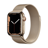 Apple Watch Series 7 boitier Acier inoxydable GPS+Cellular