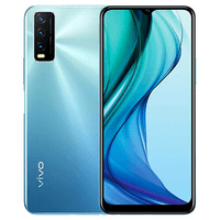 Vivo Mobile Y30 Standard